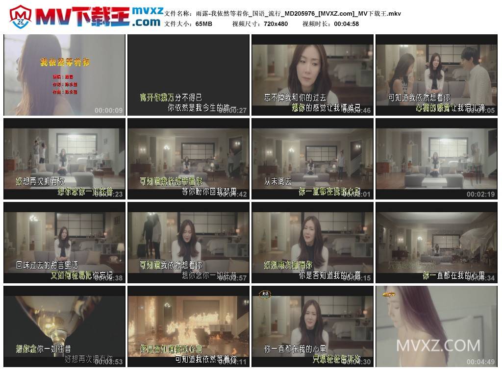 雨露-我依然等着你_国语_流行_MD205976